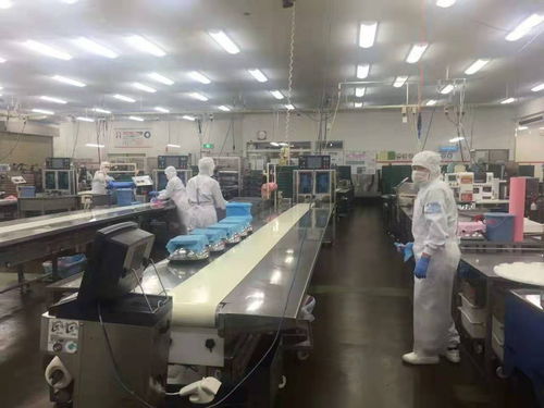 南充貝斯特 專業(yè)出國勞務(wù)工簽與全方位出入境服務(wù)